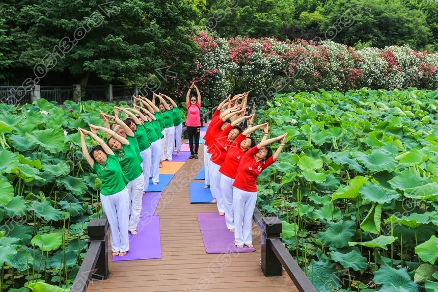 南通，清清荷塘秀瑜伽  (6).jpg