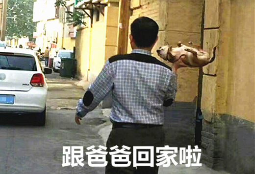 澎湃联播｜总有一些难题，“难”得让你笑出声来