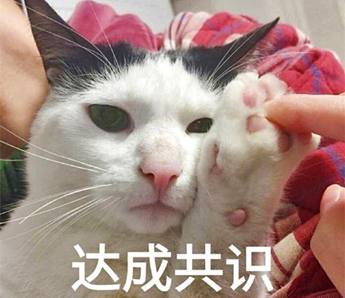 澎湃联播｜总有一些难题，“难”得让你笑出声来