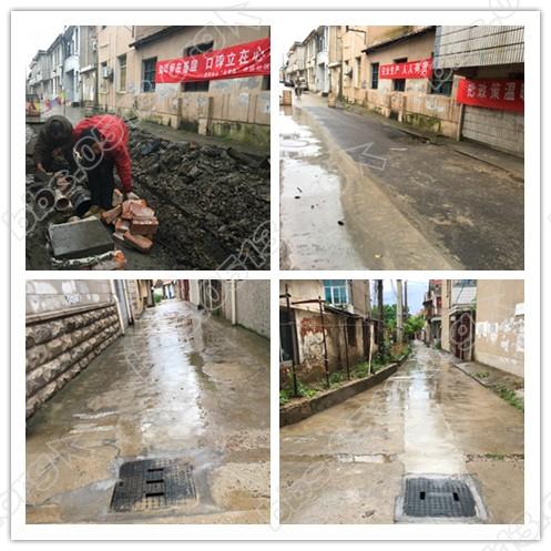 新建文件夹 (2)IMG_4965_副本.jpg