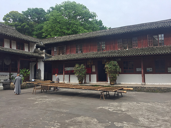 重量级景区有几个是清净的？那是你没去国清寺