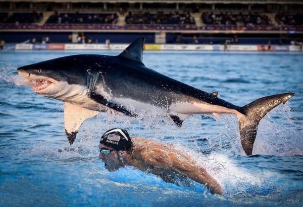 菲尔普斯要和大白鲨比速度！输了的下场难道是……