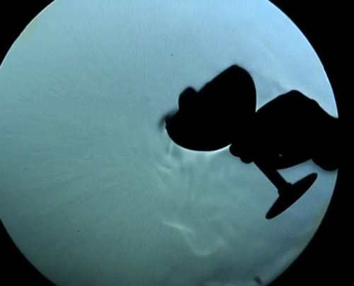 趣看｜纹影摄影，肉眼下看不见的气流慢动作