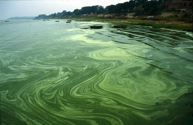 洁净的湖泊，离中国人民还有多远？