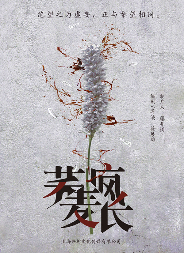 上海电影节｜又有一批优秀的创投项目等待被孵化