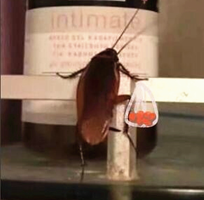 澎湃联播｜有了“老戏骨”刘洪斌，冯小刚再也不用骂人了