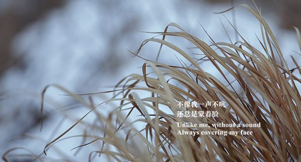 跟拍余秀华一年多的导演说：她的最高欲望并不是诗歌