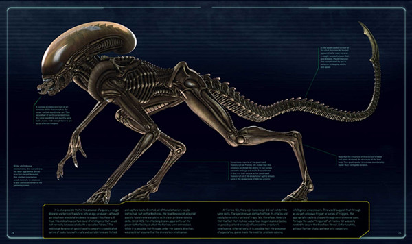 宇宙梦魇，进化之王：异形是一种怎样的生物，缘何“伟大”