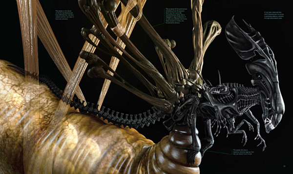 宇宙梦魇，进化之王：异形是一种怎样的生物，缘何“伟大”