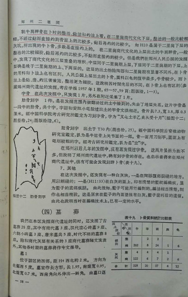 口述︱国博研究馆员李维明：跟邹衡先生学习考古