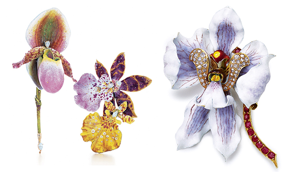 有一种珠宝的光彩，叫做生如夏花之绚烂