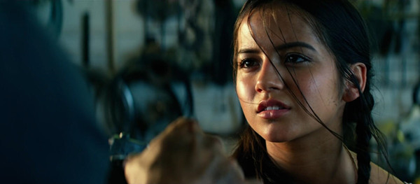 我可能看了一部假的《变形金刚》