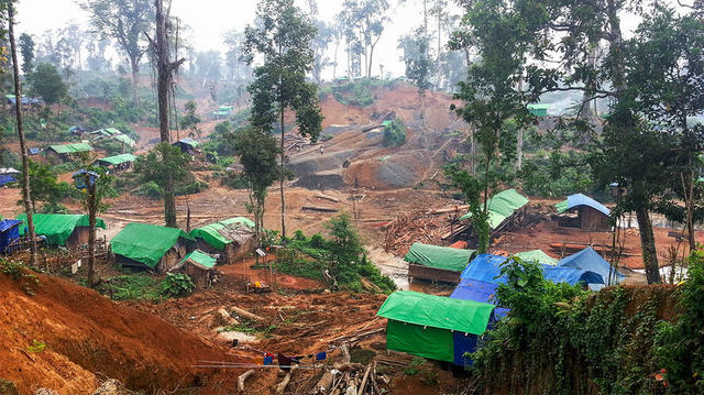 邢立达：为了发现中国的恐龙，他正在和推土机赛跑