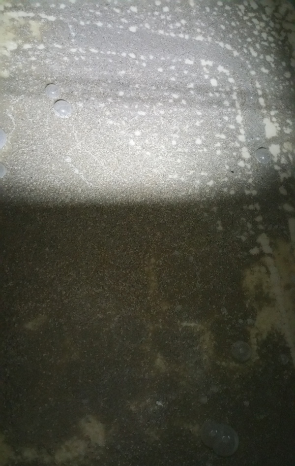 去冲绳还只想到吃海鲜？喝点儿泡盛才是正经事