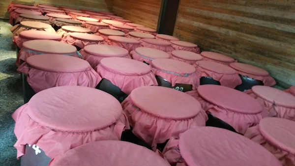 去冲绳还只想到吃海鲜？喝点儿泡盛才是正经事