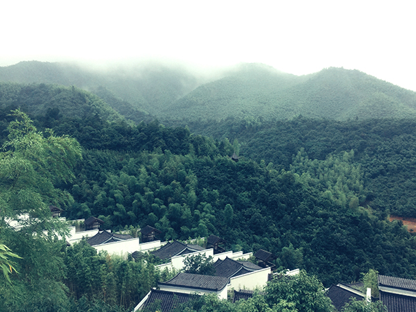 曾获联合国人居奖的安吉，成为野奢度假试验场
