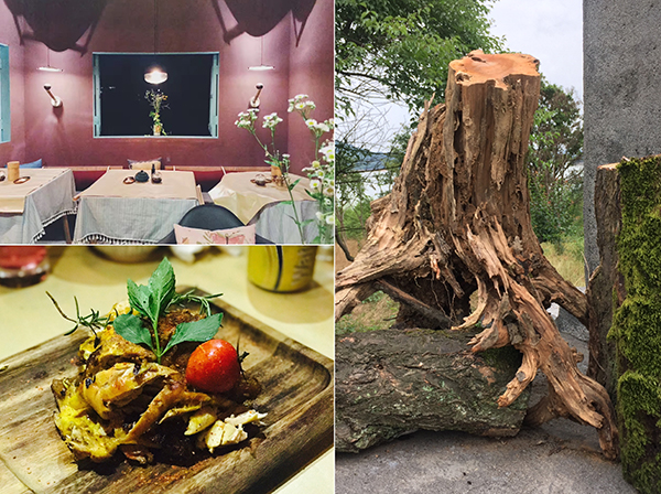 曾获联合国人居奖的安吉，成为野奢度假试验场