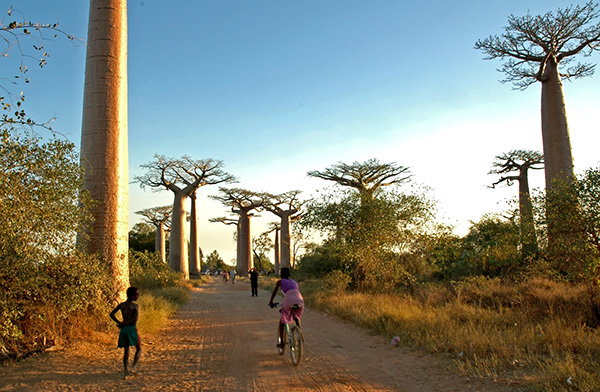 片刻的哭泣过后是欢舞与微笑，在马达加斯加与尸共舞