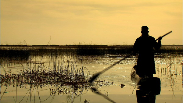 今年夏天看什么？这里有一份SMG暑期电视指南