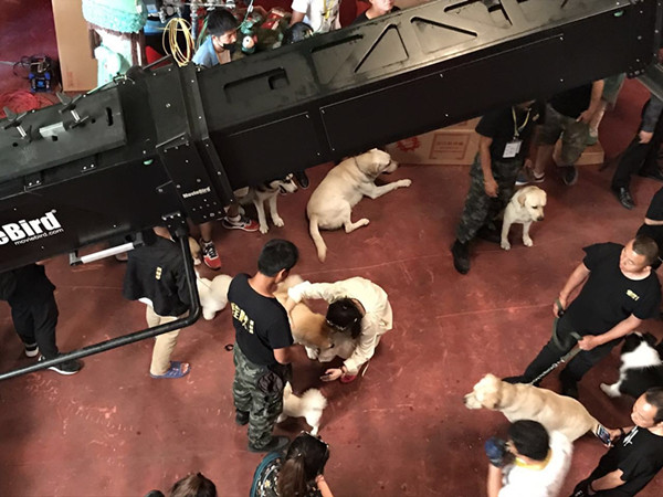 探班｜这部电影的主演居然可以随便摸