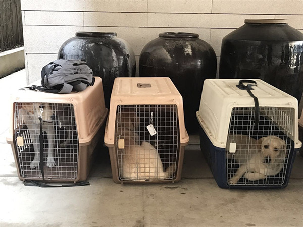 探班｜这部电影的主演居然可以随便摸