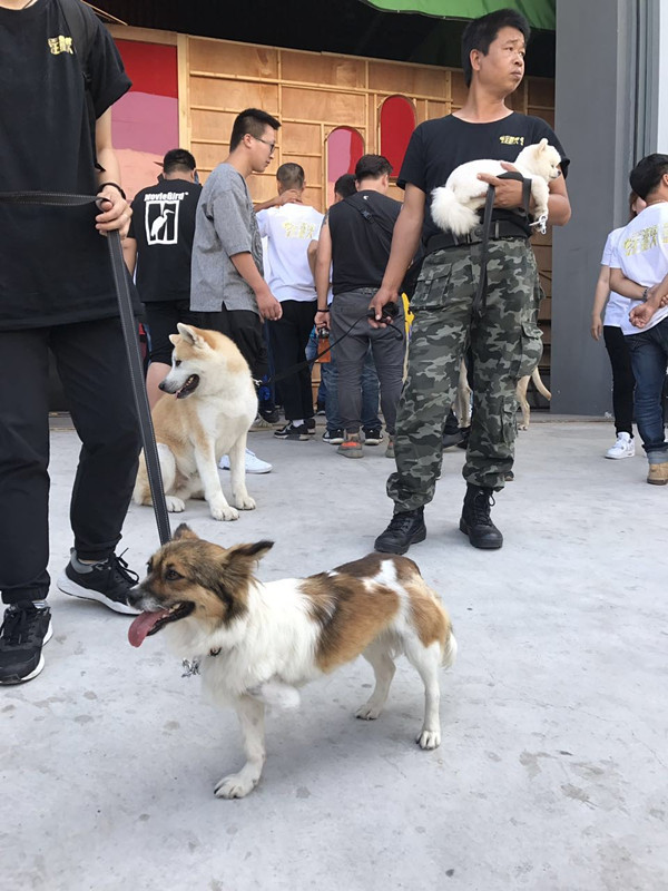 探班｜这部电影的主演居然可以随便摸