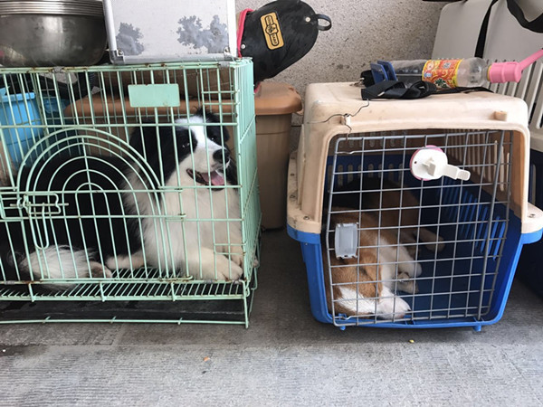 探班｜这部电影的主演居然可以随便摸