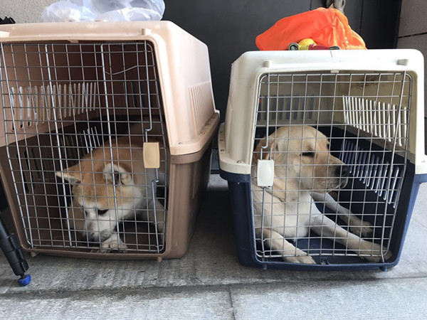 探班｜这部电影的主演居然可以随便摸