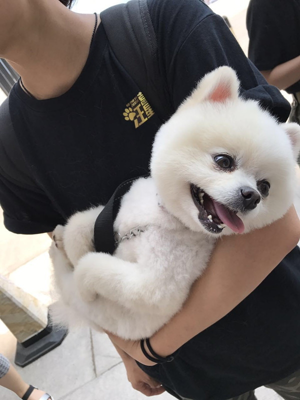 探班｜这部电影的主演居然可以随便摸