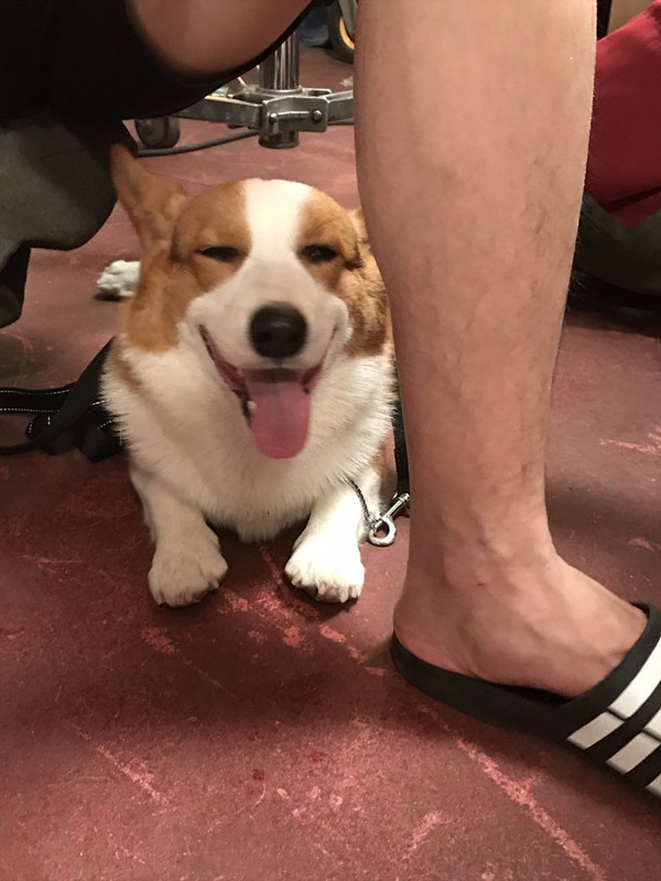 探班｜这部电影的主演居然可以随便摸