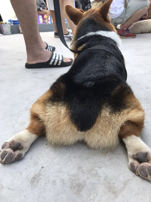 探班｜这部电影的主演居然可以随便摸