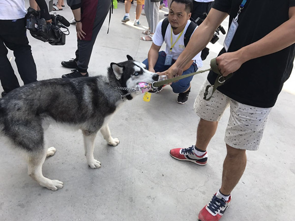 探班｜这部电影的主演居然可以随便摸