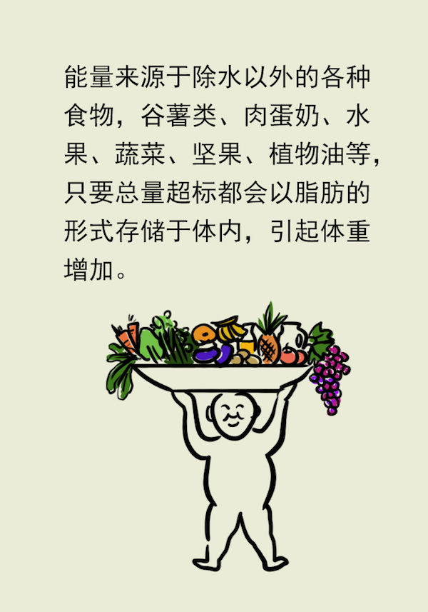 漫画｜想成功减肥，照着这个模板吃