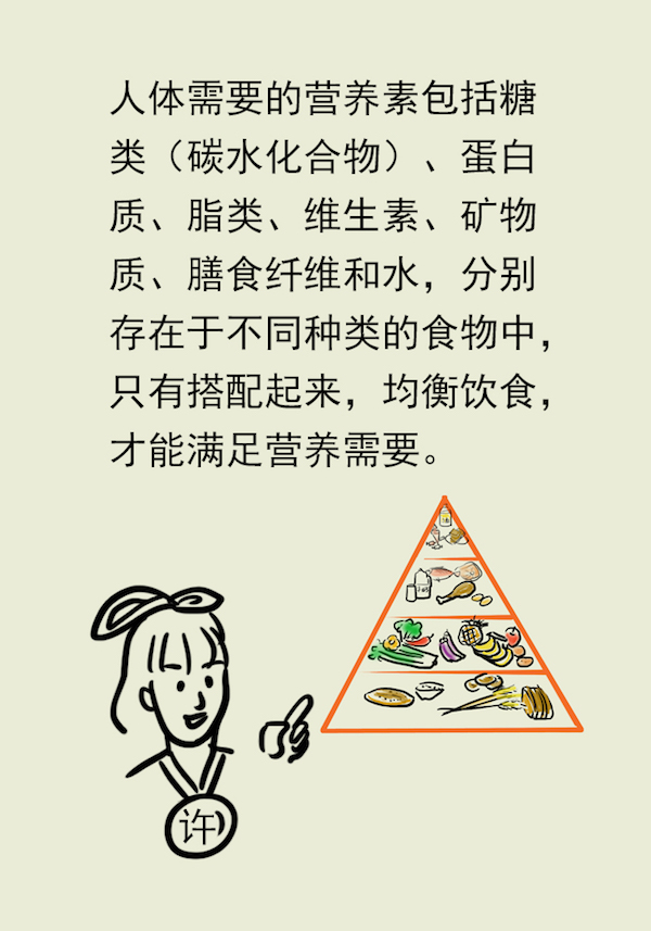 漫画｜想成功减肥，照着这个模板吃