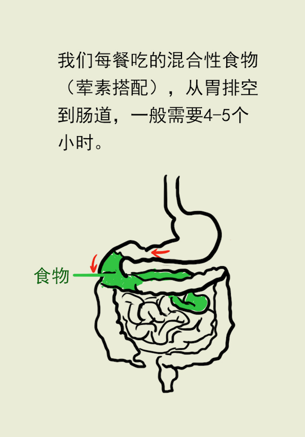 漫画｜想成功减肥，照着这个模板吃