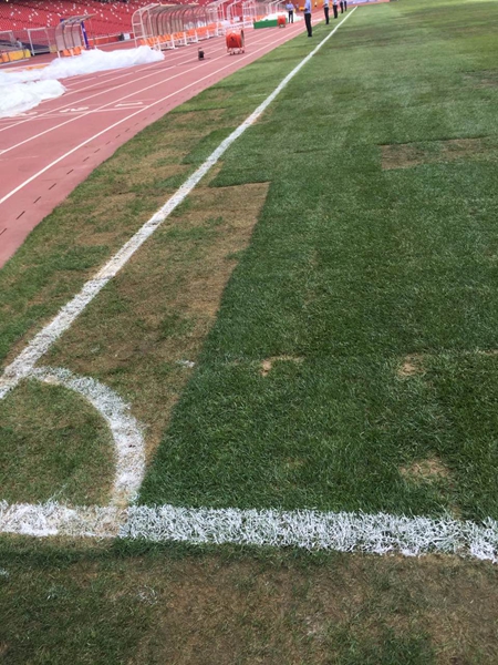 张学友演唱会损毁草皮引争议，球场变“菜地”成中国足球之痛