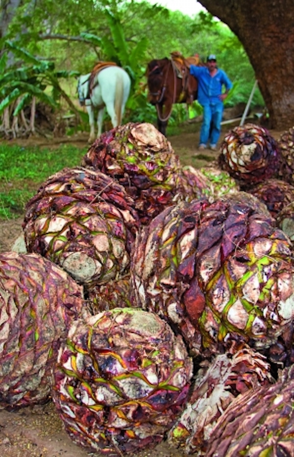 特基拉，不只是短饮