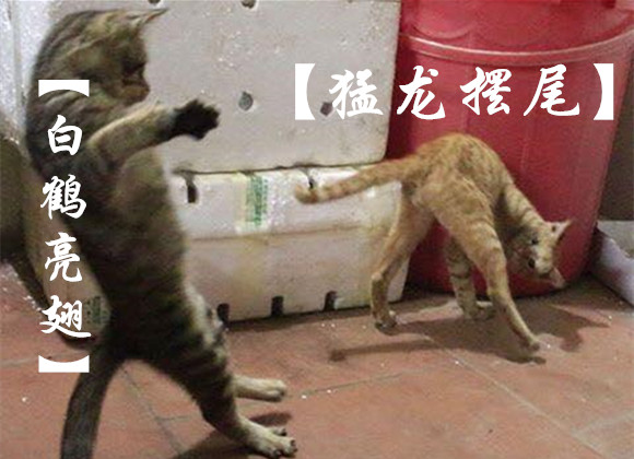 澎湃联播｜从一场被打断的比武，评点手游防沉迷系统