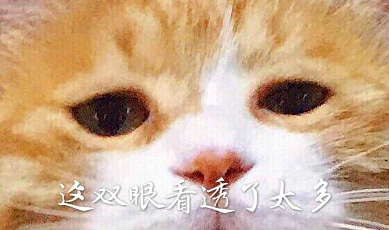 澎湃联播｜从一场被打断的比武，评点手游防沉迷系统