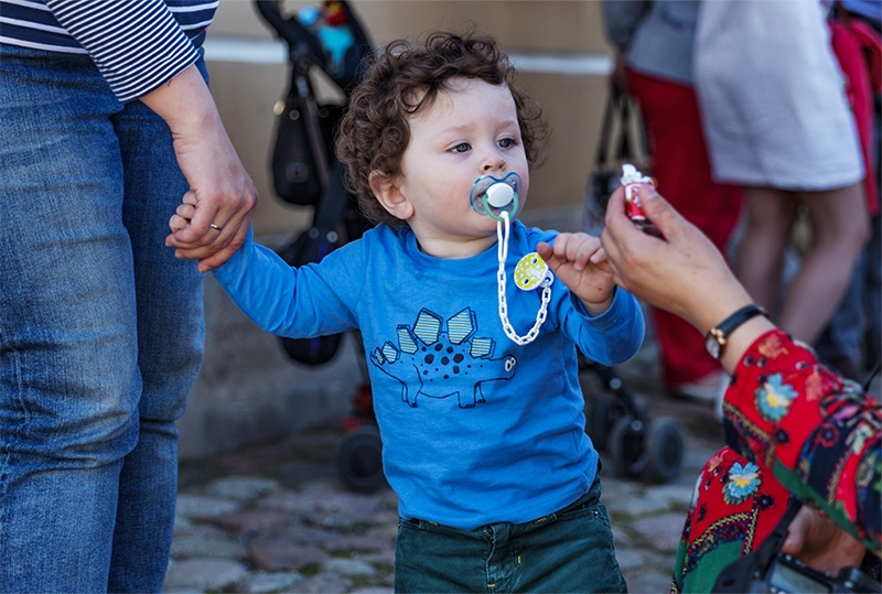 彼得大教堂里的小游客