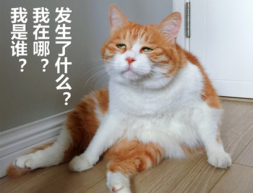 澎湃联播｜借鉴不能算抄！给领导写东西，能算抄吗？