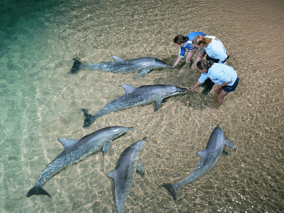 暑期旅行的全新打开方式，带着孩子野一把