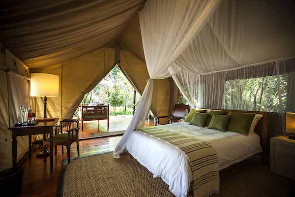 暑期旅行的全新打开方式，带着孩子野一把