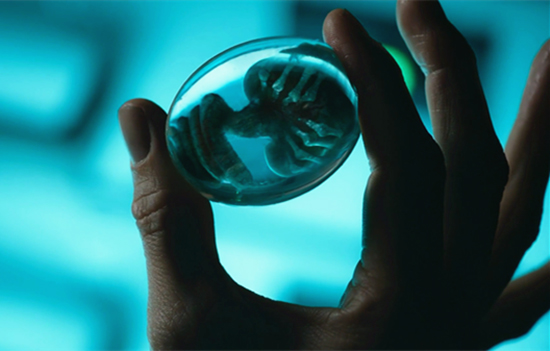 澎湃联播｜关于百度和乐视，我有一个大胆的想法