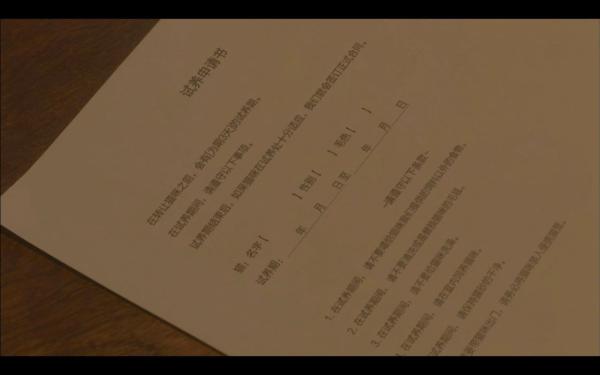 《毛毯猫》：让喵星人来治愈你的心灵吧