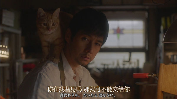 《毛毯猫》：让喵星人来治愈你的心灵吧