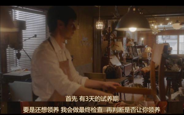 《毛毯猫》：让喵星人来治愈你的心灵吧