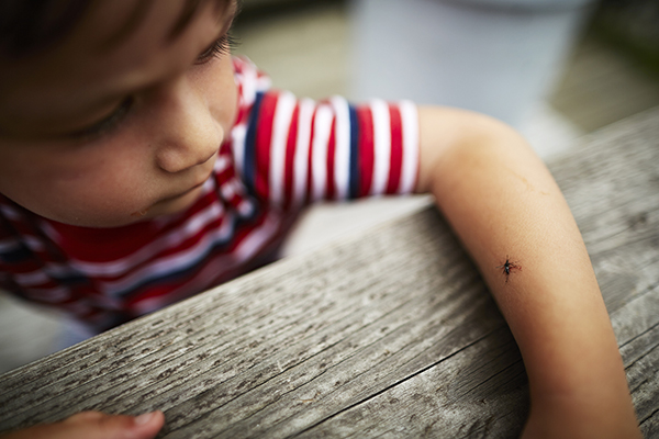 夏天皮肤科患儿三成是“虫咬性皮炎”，瘙痒难耐怎么办