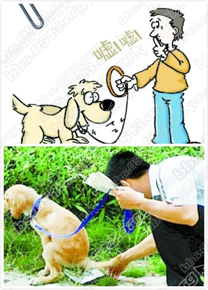 文明养犬.jpg