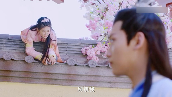 《双世宠妃》：低配版“太子妃”，发糖齁死你